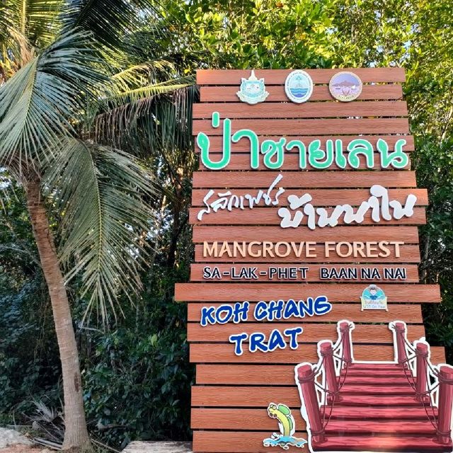 สะพานแดง ชมป่าชายเลน