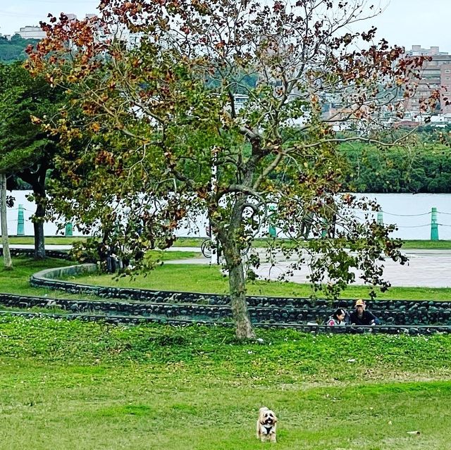 社子島島頭公園，讓人放鬆徜徉在大自然的最佳選擇！