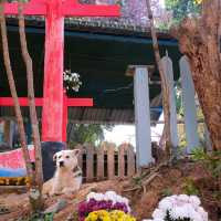 บ้านร่องกล้า