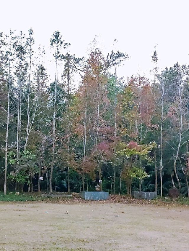 大棠有機生態園親子一日遊🌄👨‍👩‍👧‍👦