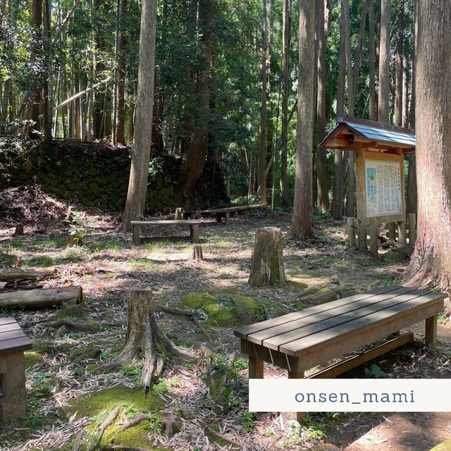 宿泊者は熊野古道の無料ツアーに参加できる⛰