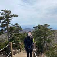 #봄여행 으로 떠난 제주도 한라산 백록담 (feat.성판악코스)