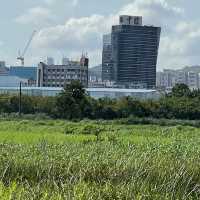 沿梧桐河行走，一路飽覽深圳和香港的城鄉美景