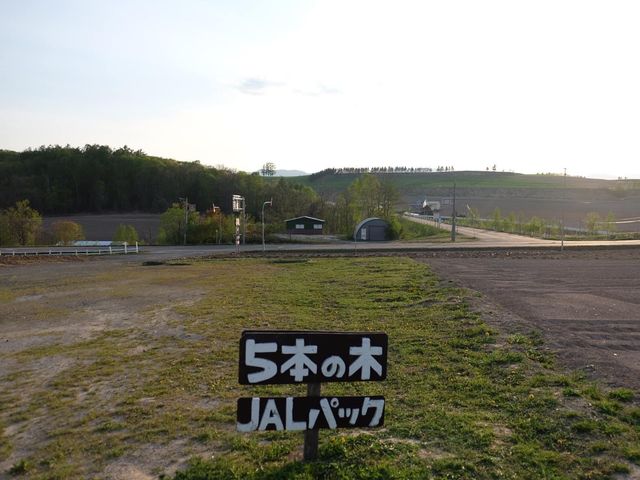 嵐之樹🌲｜北海道