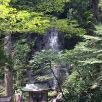 国宝羽黒山五重塔　暑い夏に行きたいスポット👍