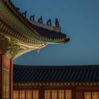 📍경복궁 🌕궁궐 야간개장🌕