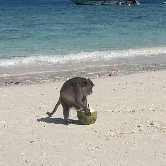 Quench your thirst for LIFE! Aloha Hawaii!