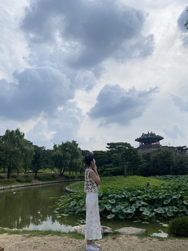수원에서 하는 피크닉 🧺