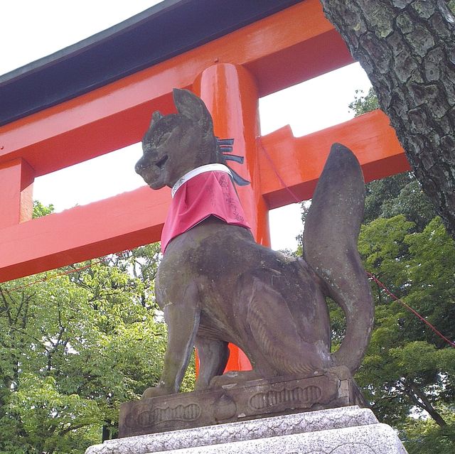 【日本 京都】拍照勝地！千本鳥居 ！