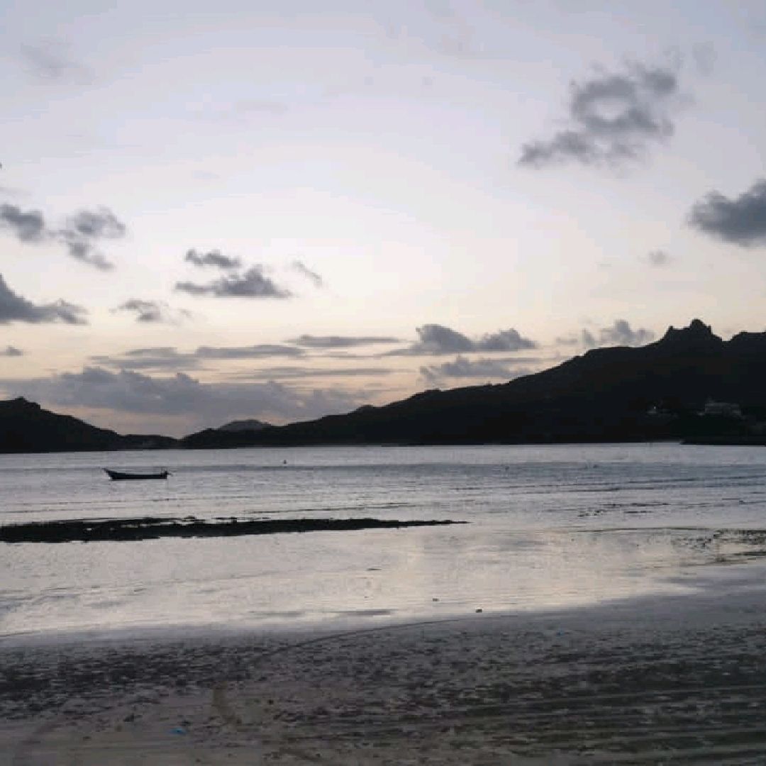 Aden intelligence overview