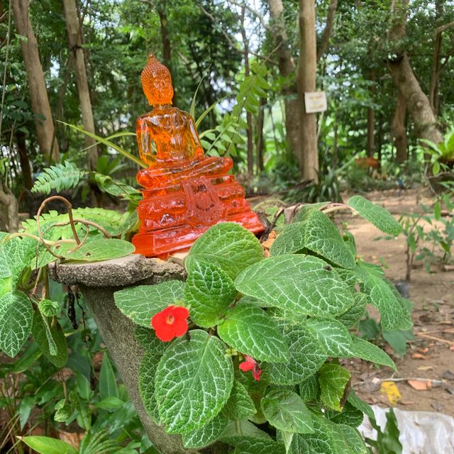 สวนป่าพุทธธรรม วัดพระทอง