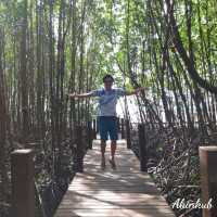มาศึกษาธรรมชาติกันเถอะ ณ อ่าวคุ้งกระเบน