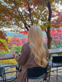 화담숲근처 숲속카페☕️