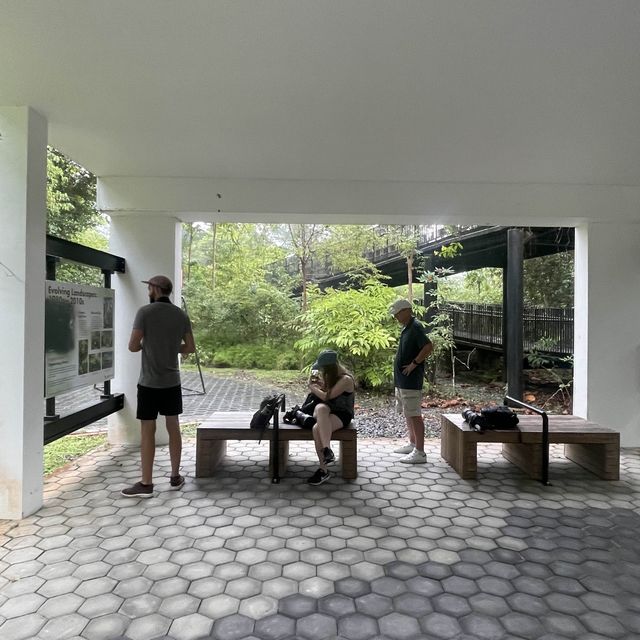 Thomson nature park 