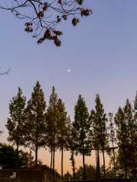 모든 계절이 예쁜 선유도공원🏞️