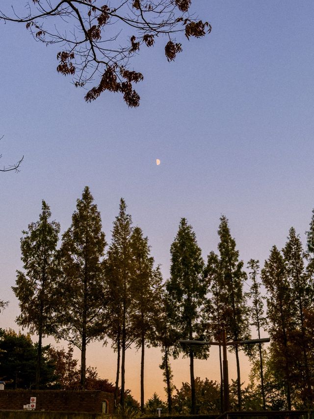 모든 계절이 예쁜 선유도공원🏞️