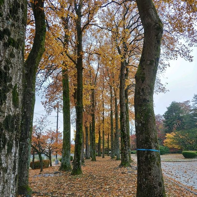 岩手県！盛岡城跡公園で紅葉狩り