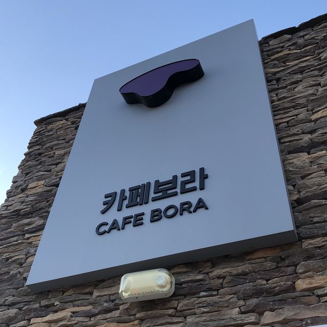 美國｜亞特蘭大 紫薯韓國咖啡館💜🍠