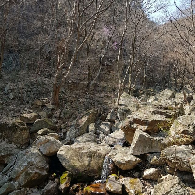 용문산 등산 여행기