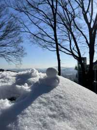  눈쌓인 서울 구경하기 딱인 남산 N서울타워☃️