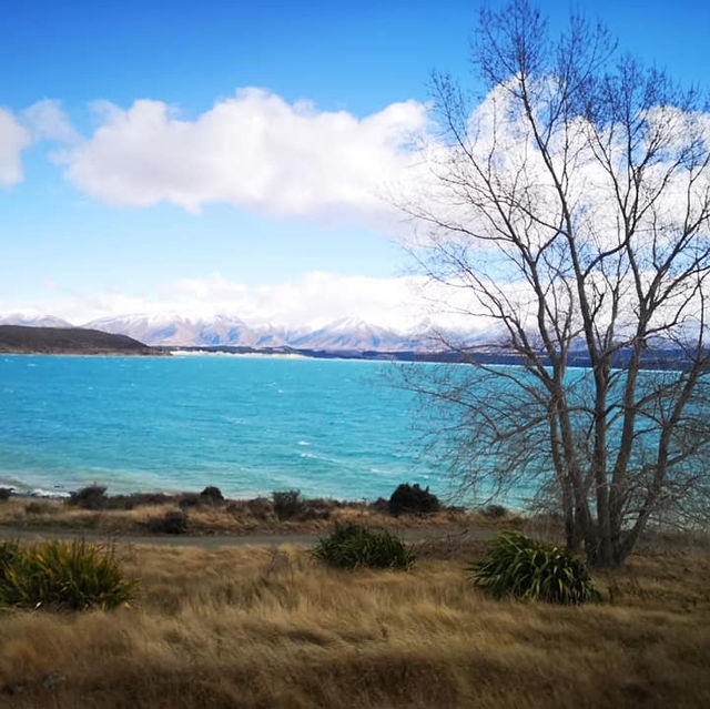 Lake Tekapo/