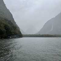 NZ 紐西蘭 南島 米佛峽灣 Milford Sound