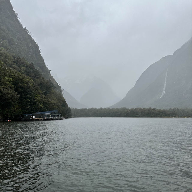 NZ 紐西蘭 南島 米佛峽灣 Milford Sound