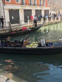 Tour in Gondola ~ Venice 