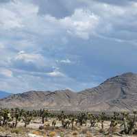 scenic view of Vegas 