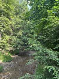 Cedar Falls in Hocking Hills
