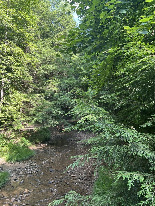 Cedar Falls in Hocking Hills