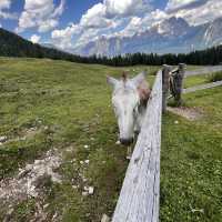 Cortina: pearl of the Dolomites 