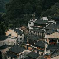 白墙黛瓦杏叶黄 柿外桃源烟火篁