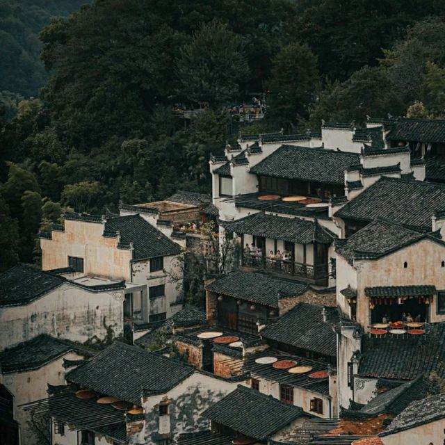 白墙黛瓦杏叶黄 柿外桃源烟火篁