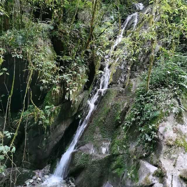 Yamugou(亚木沟)| Enjoy the nature