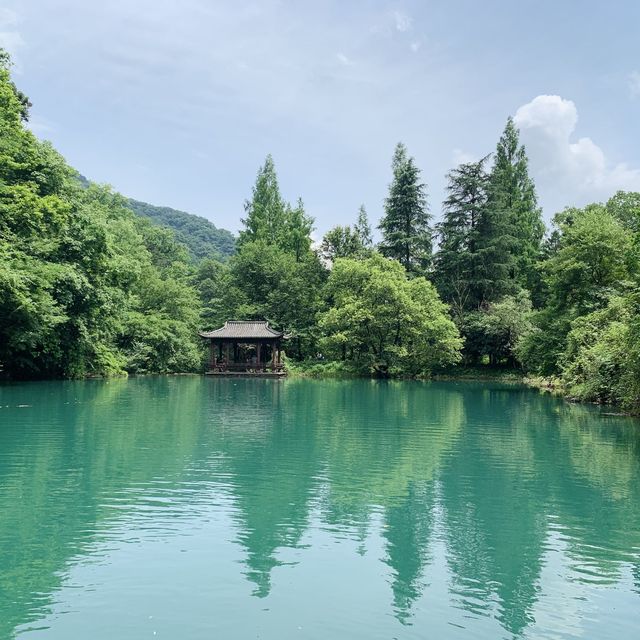 Tianmushan Natural Reserve ⛩