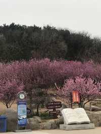 Spring In Yantai 