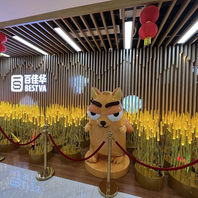 打卡深圳龍華百佳華商場