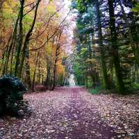 Get out into nature