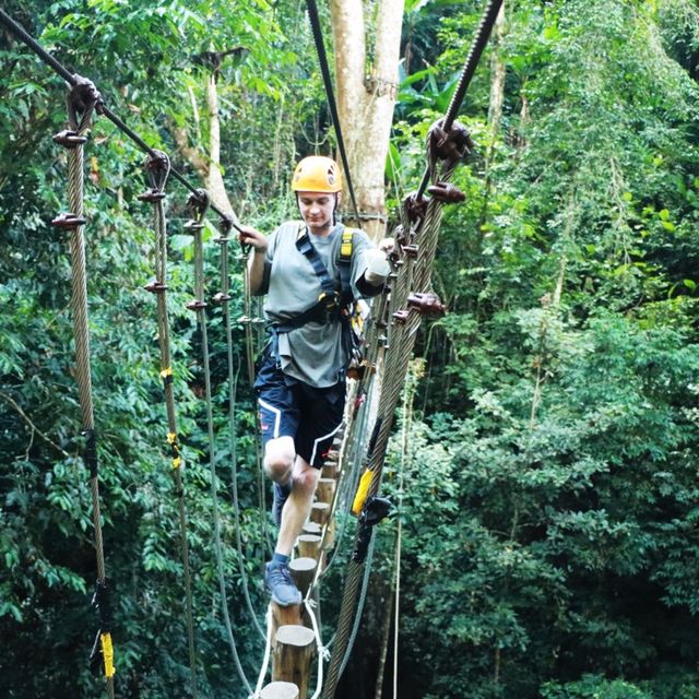 Zip-Line through the jungle!