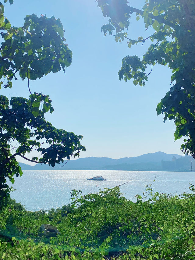 Macau's seaside path leading to a hidden paradise is so pleasant 🌳 Attached with a map.