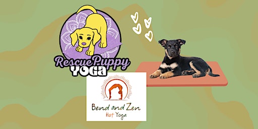 Rescue Puppy Yoga - Bend and Zen Nashville | Bend and Zen Hot Yoga Nashville