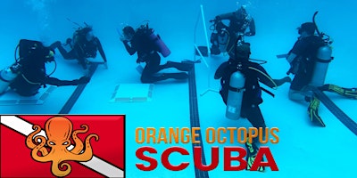 Discover Scuba Diving with Orange Octopus Scuba | Woodsboro