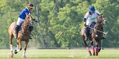 Polo Tournament Sponsored by Park Equine Hospital! | Kentucky Horse Park