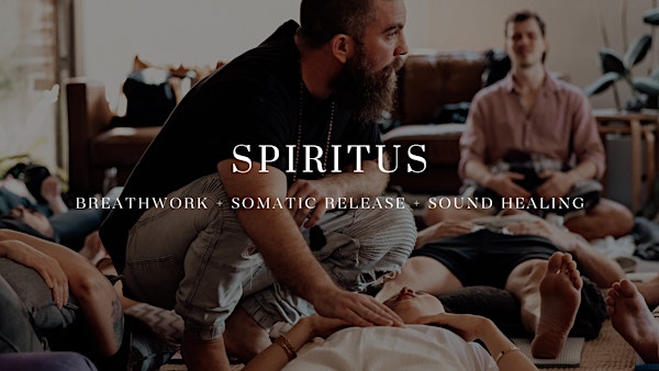 SPIRITUS Phoenix | 435 Collective