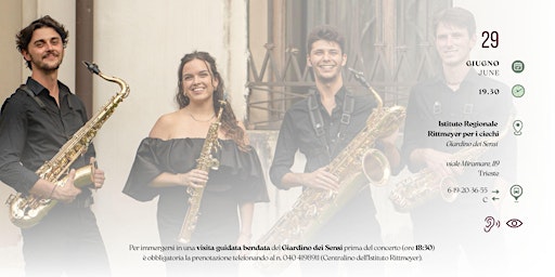 DIPINGENDO, MUSICA | Istituto Regionale Rittmeyer per i ciechi