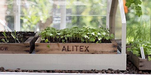 September Open Event | Alitex Limited