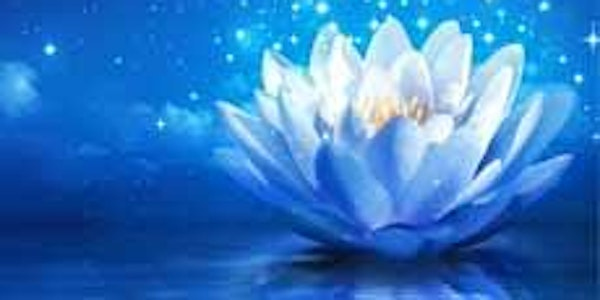 Finding Real Peace by Understanding the Human Condition | Serendipity's Backyard