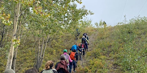 Stony Creek hike | 10 Burns Rd