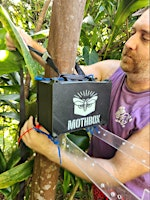 The Mothbox: An Open Science Tool for Automated Insect Monitoring | Biotech Without Borders